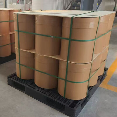 Color Developer TGSH 2,2'-diallyl-4,4'-sulfonyldiphenol a Versatile High-Performance Color Developer